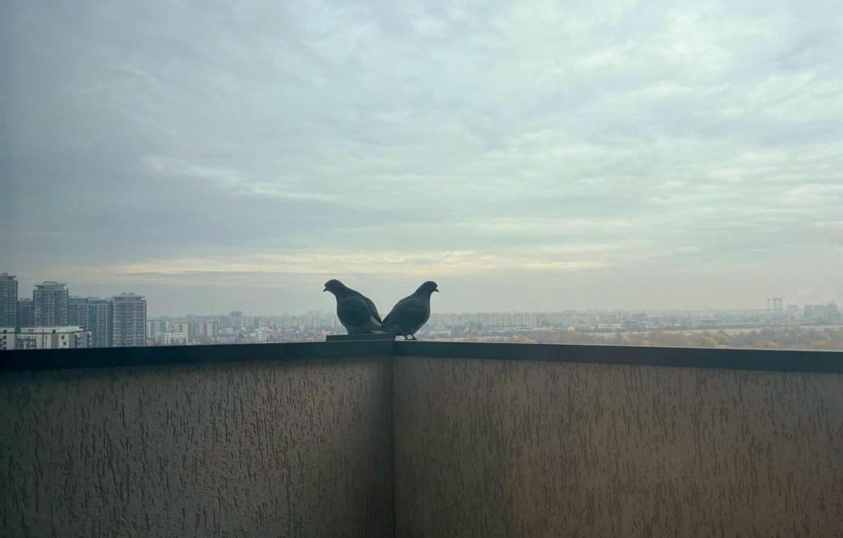 Apartament Homey Vacaresti *